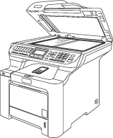 Graphique