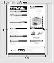 Screen