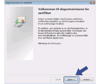 Skjermbilde