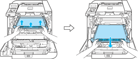 Grafic