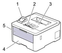 Visão frontal