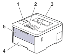 Visão frontal